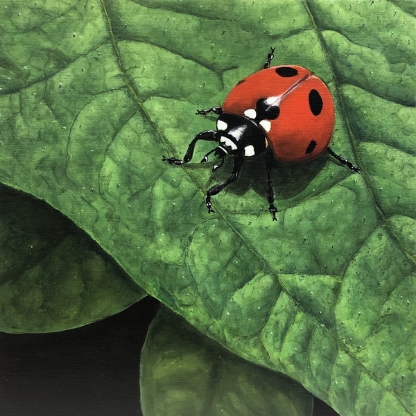 Little Red
